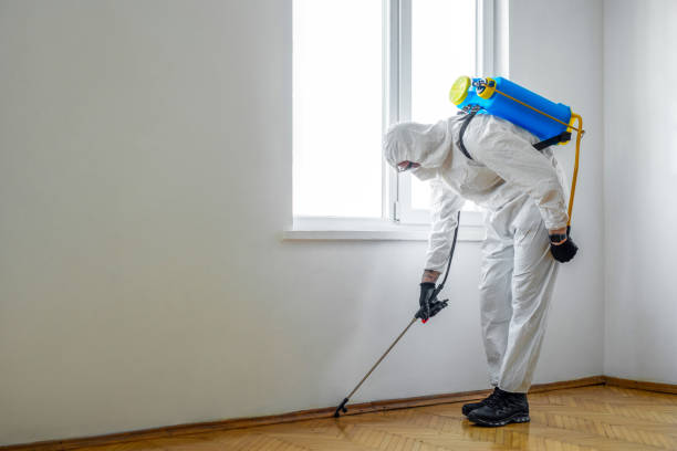 Best Bed Bug Extermination  in Eddyville, KY